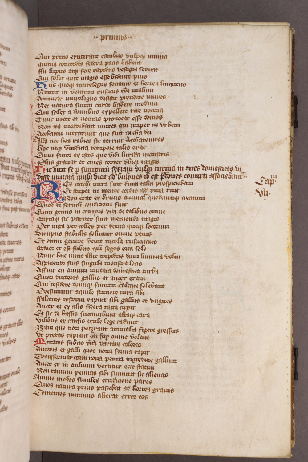 Folio 11 recto